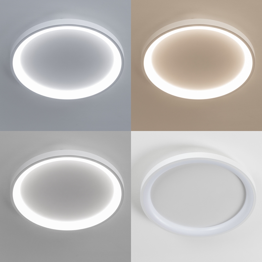 Brilagi - LED стельовий світильник з можливістю затемнення FALCON SLIM LED/42W/230V 3000-6500K діам. 50 см білий + дистанційне керування