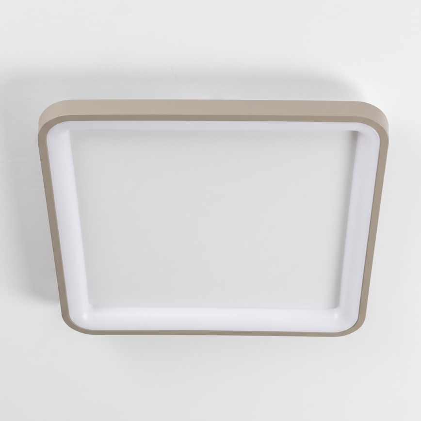 BRILAGI - LED димований стельовий світильник FALCON SLIM LED/50W/230V 3000-6500K 50x50 cm білий/бежевий + дистанційне керування