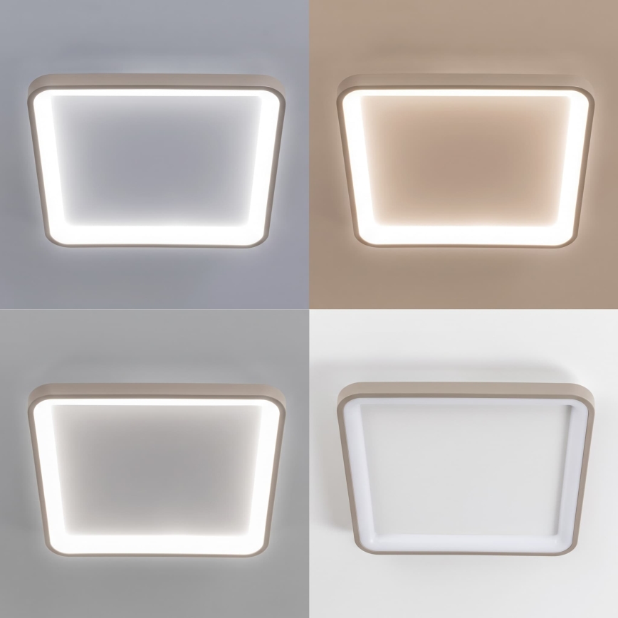BRILAGI - LED димований стельовий світильник FALCON SLIM LED/50W/230V 3000-6500K 50x50 cm білий/бежевий + дистанційне керування