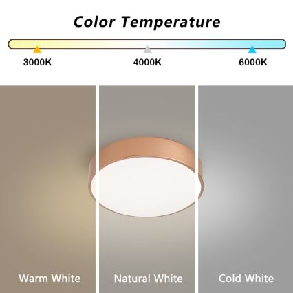 BRILAGI - LED Димований стельовий світильник POOL LED/24W/230V 3000-6000K діам. 20 см мідний + дистанційне керування