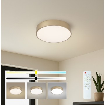 BRILAGI - LED димований стельовий світильник POOL LED/36W/230V 3000-6000K діаметр 30 см золотистий + пульт дистанційного керування
