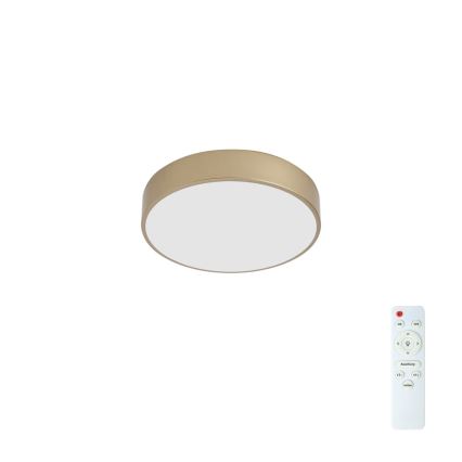 BRILAGI - LED димований стельовий світильник POOL LED/36W/230V 3000-6000K діаметр 30 см золотистий + пульт дистанційного керування