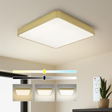 BRILAGI - LED димований стельовий світильник POOL SQUARE LED/48W/230V 3000-6000K 50x50 cm золотистий + пульт дистанційного керування