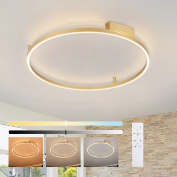 Brilagi - LED димований стельовий світильник PORTOFINO LED/60W/230V 3000-6000K діам. 80 см золотистий + дистанційне керування