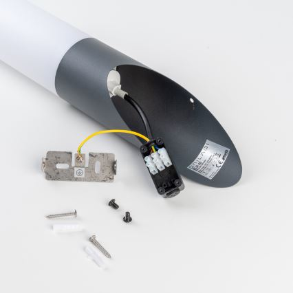 BRILAGI - LED зовнішня настінна лампа ELIA з регульованою яскравістю 1xE27/6W/230V 2700-6500K IP44 Wi-Fi антрацит