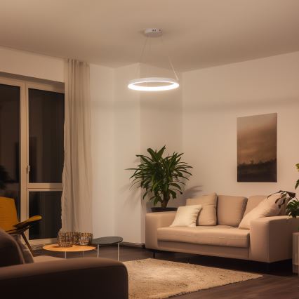 Brilagi - LED затемнюваний підвісний світильник на тросі FALCON SLIM LED/42W/230V 3000-6500K діам. 50 cm білий + дистанційне керування