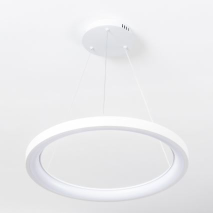 Brilagi - LED затемнюваний підвісний світильник на тросі FALCON SLIM LED/42W/230V 3000-6500K діам. 50 cm білий + дистанційне керування