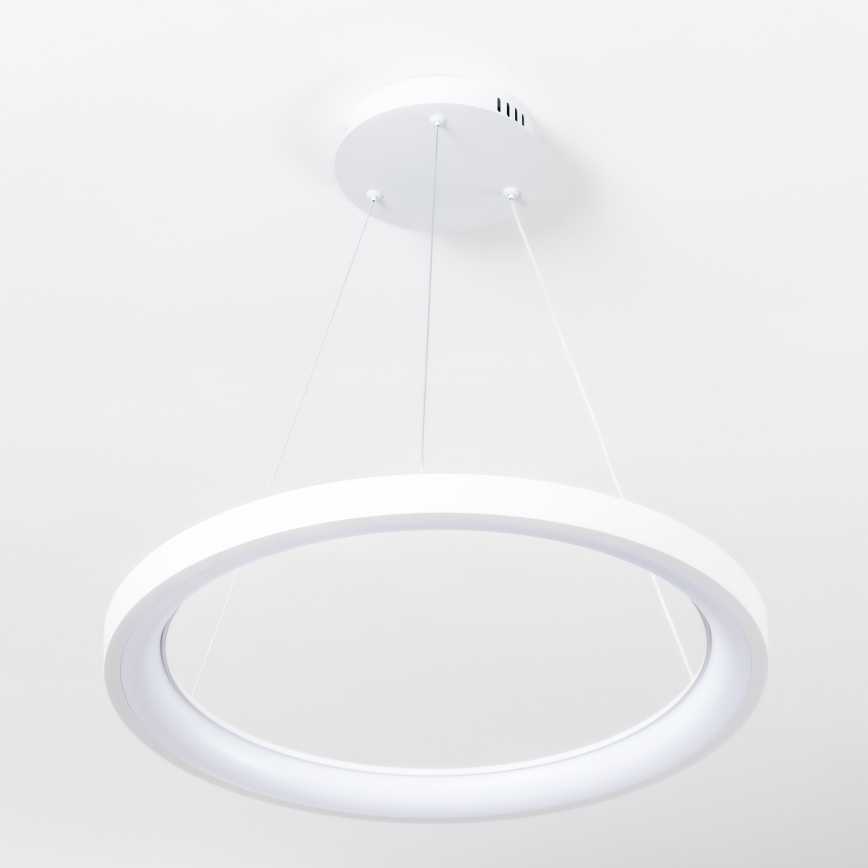 Brilagi - LED затемнюваний підвісний світильник на тросі FALCON SLIM LED/42W/230V 3000-6500K діам. 50 cm білий + дистанційне керування