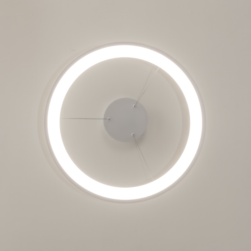 Brilagi - LED затемнюваний підвісний світильник на тросі FALCON SLIM LED/42W/230V 3000-6500K діам. 50 cm білий + дистанційне керування