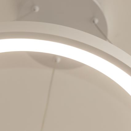 Brilagi - LED затемнюваний підвісний світильник на тросі FALCON SLIM LED/42W/230V 3000-6500K діам. 50 cm білий + дистанційне керування
