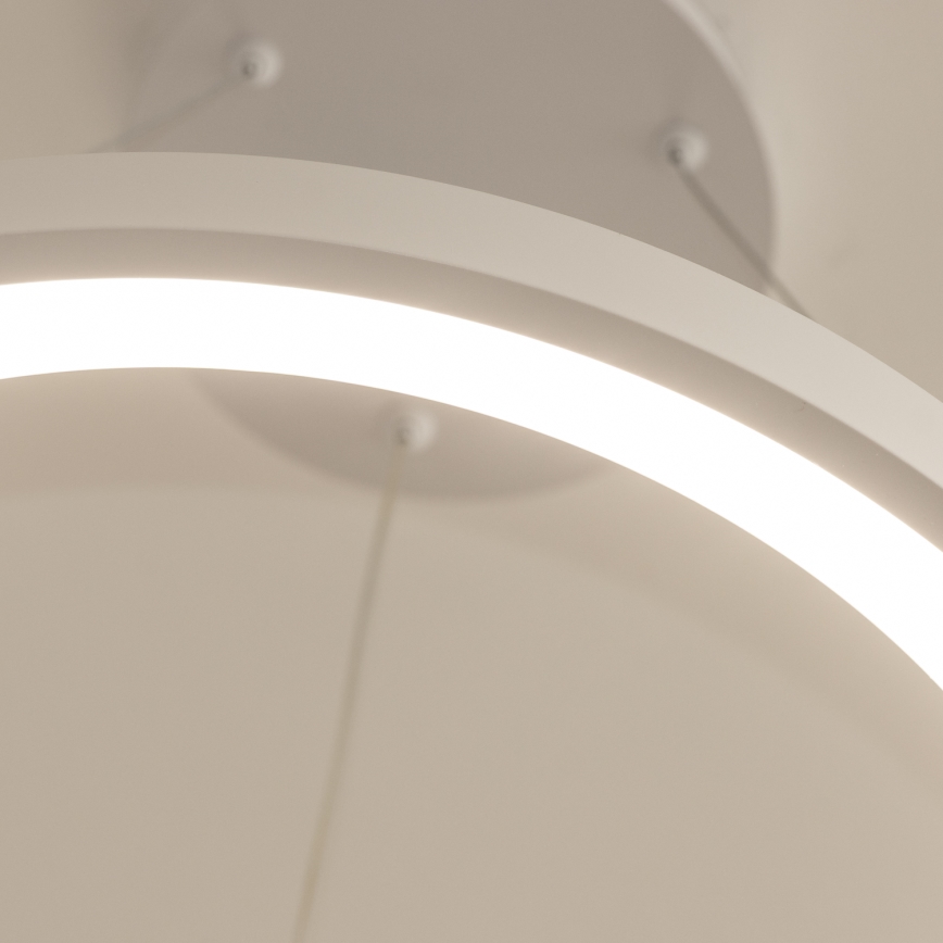 Brilagi - LED затемнюваний підвісний світильник на тросі FALCON SLIM LED/42W/230V 3000-6500K діам. 50 cm білий + дистанційне керування
