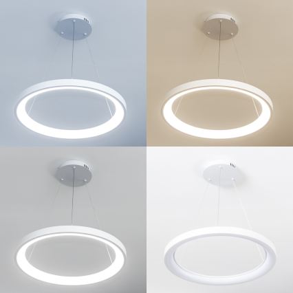 Brilagi - LED затемнюваний підвісний світильник на тросі FALCON SLIM LED/42W/230V 3000-6500K діам. 50 cm білий + дистанційне керування