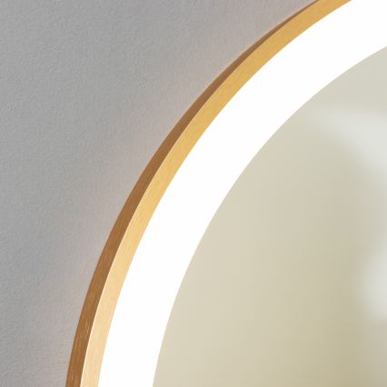 Brilagi - світлодіодне дзеркало для ванної кімнати ERBA LED/25W/230V 50x80 см, золоте, IP44, CRI 90, з регульованою яскравістю + CCT