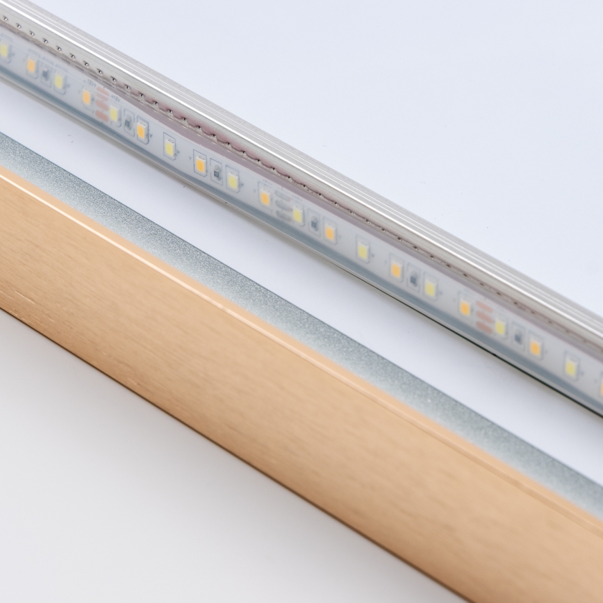 Brilagi - світлодіодне дзеркало для ванної кімнати ERBA LED/25W/230V 50x80 см, золоте, IP44, CRI 90, з регульованою яскравістю + CCT