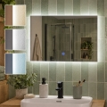 BRILAGI - LED дзеркало для ванної LUCE LED/20W/230V 40x60 cm IP44 CRI 90 з регулюванням яскравості + CCT