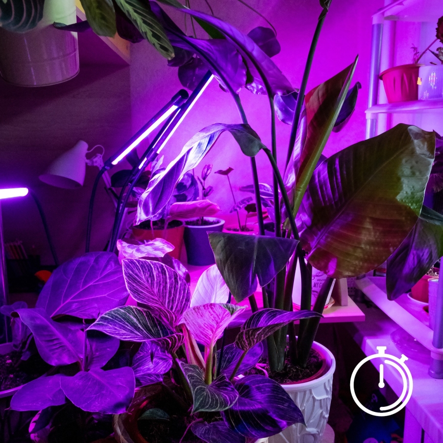 Brilagi - LED Гнучка настільна лампа з затискачем для вирощування рослин з регулюванням яскравості VITABLOOM 3xLED/10W/230V чорний