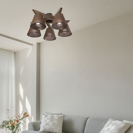 Brilagi - LED Накладна люстра ANTHONY 5xE14/40W/230V дуб горіх/коричневий