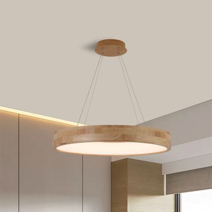 Brilagi - LED Подвесной светильник на тросе FALCON WOOD LED/40W/230V 3000/4000/6000K диам. 60 cm отделка из дерева