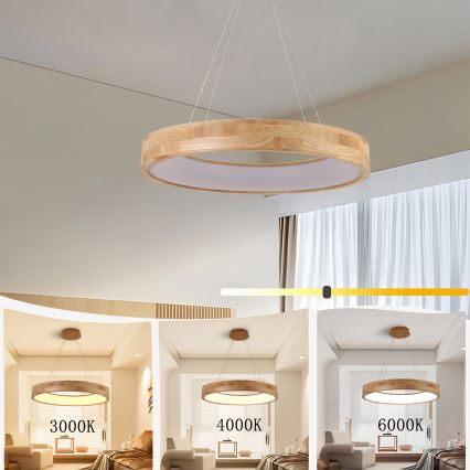 Brilagi - LED Подвесной светильник на тросе FALCON WOOD LED/40W/230V 3000/4000/6000K диам. 60 cm отделка из дерева