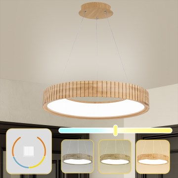 Brilagi - LED-люстра на тросе FALCON WOOD MODERN LED/40W/230V 3000/4000/6000K, Ø 60 см, деревянная