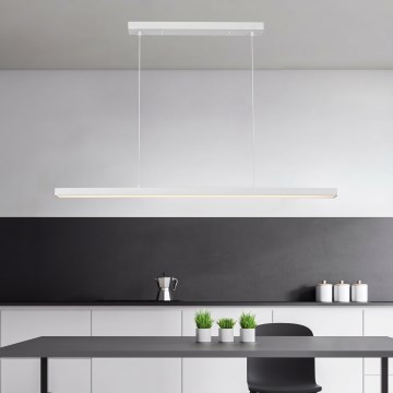 BRILAGI - LED люстра на тросе PAXIS LED/30 Вт/230 В 120 см белая