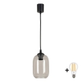 BRILAGI - LED-люстра на тросе RETRO GLASS 1xE27/60W/230V, Ø 14 см, черный/дымчато-серый
