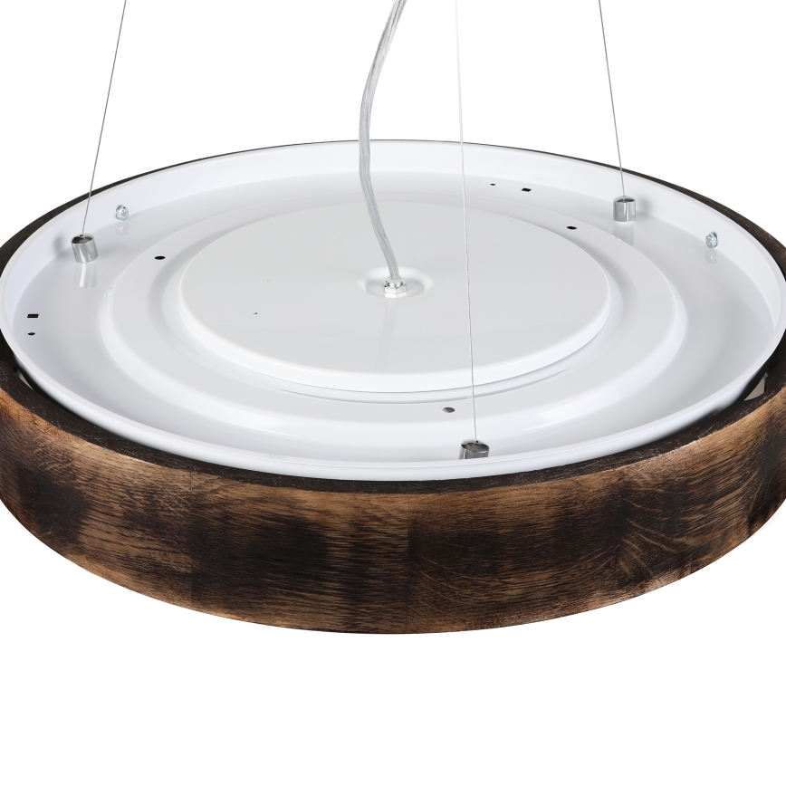 Brilagi - LED люстра на тросі CARVALHO SMOKEY 3xE27/60W/230V дуб, діаметр 47,5 см