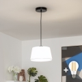 Brilagi - LED люстра на тросі CERIA 1xE27/40W/230V Ø 25 см біла