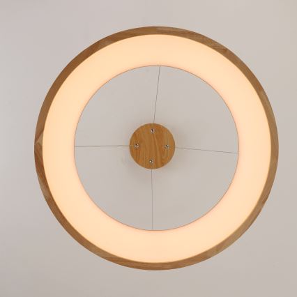 Brilagi - LED-люстра на тросі FALCON WOOD LED/40W/230V 3000/4000/6000K, діаметр 60 см, дерев'яна