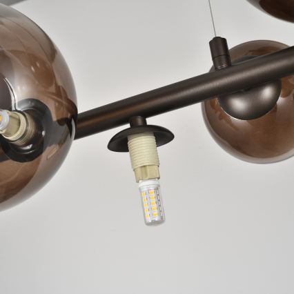 Brilagi - LED люстра на тросі MILLA 10xG9/3W/230V коричнева/димчасто-коричнева