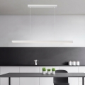 Brilagi - LED люстра на тросі PPAXIS LED/30W/230V 120 cm біла