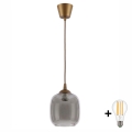 BRILAGI - LED-люстра на тросі RETRO GLASS 1xE27/60W/230V, діаметр 14 cm, коричневий/димчасто-сірий