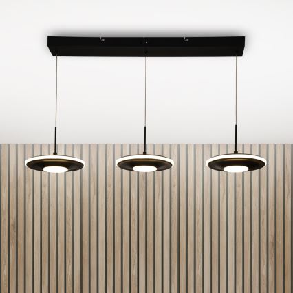 Brilagi - LED люстра на тросі VERANO 3xLED/15W/230V