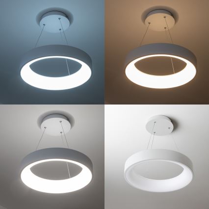 Brilagi - LED підвісна люстра з регульованою яскравістю FALCON LED/40W/230V 3000-6500K, діаметр 45 см, біла + дистанційне керування