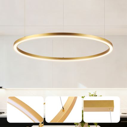 Brilagi - LED затемнювана підвісна люстра на тросі PORTOFINO LED/60W/230V 3000-6000K діам. 80 cm золота + дистанційне керування