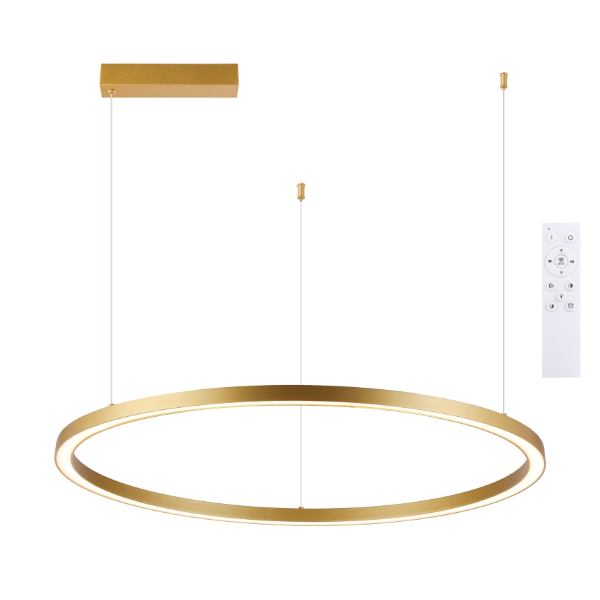 Brilagi - LED затемнювана підвісна люстра на тросі PORTOFINO LED/60W/230V 3000-6000K діам. 80 cm золота + дистанційне керування