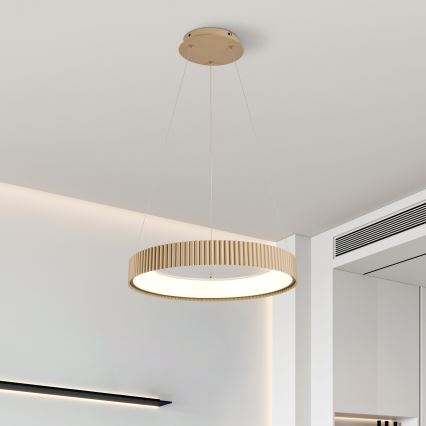 Brilagi - LED диммируемая подвесная люстра на тросе FALCON MODERN LED/30W/230V 3000-6500K 40 cm бежевая + пульт дистанционного управления