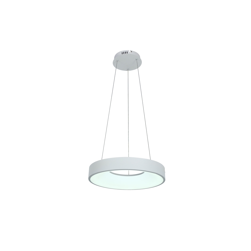 Brilagi - LED світлодіодна люстра на тросі з регульованою яскравістю FALCON II LED/67W/230V 3000-6500K діам. 40 см біла + пульт дистанційного керування