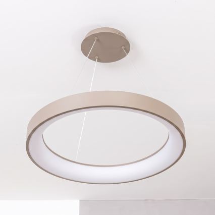 BRILAGI - LED Димована люстра на тросі FALCON II LED/99W/230V 3000-6500K Ø 60 cm бежева + пульт дистанційного керування