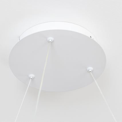 BRILAGI - LED-люстра з регулюванням яскравості на тросі FALCON II LED, 99 Вт, 230 В, 3000–6500 К, діам. 60 см, біла + пульт дистанційного керування