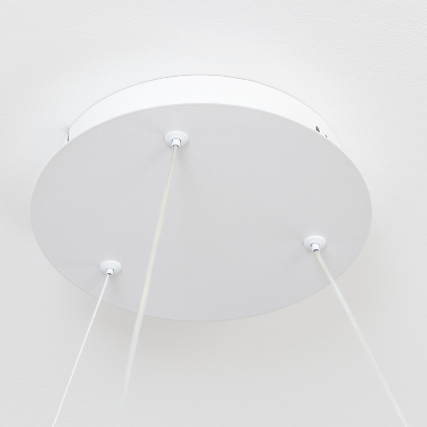 BRILAGI - LED-люстра з регулюванням яскравості на тросі FALCON II LED, 99 Вт, 230 В, 3000–6500 К, діам. 60 см, біла + пульт дистанційного керування