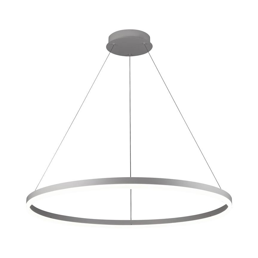 Brilagi - LED підвісна люстра на тросі CIRCLE LED/55W/230V 3000-6500K + пульт дистанційного керування (з регулюванням яскравості)