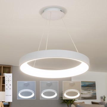 BRILAGI - LED-люстра з регулюванням яскравості на тросі FALCON II LED, 99 Вт, 230 В, 3000–6500 К, діам. 60 см, біла + пульт дистанційного керування