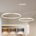 Brilagi - LED-люстра з регулюванням яскравості на тросі PORTOFINO LED/98W/230V 3000-6000K срібляста + пульт дистанційного керування