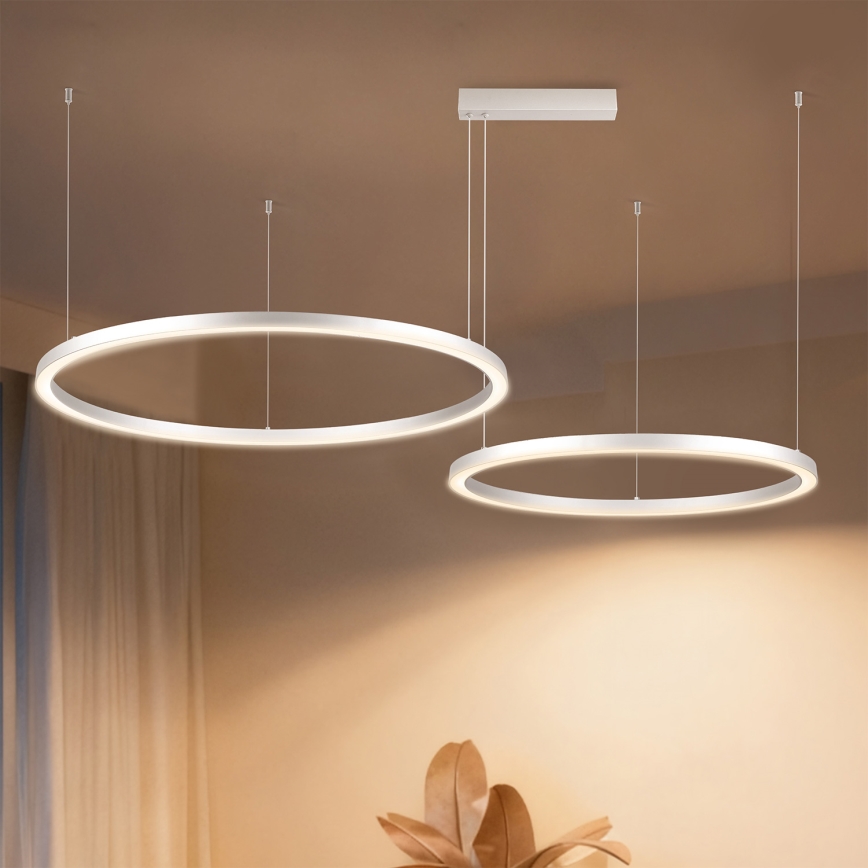 Brilagi - LED-люстра з регулюванням яскравості на тросі PORTOFINO LED/98W/230V 3000-6000K срібляста + пульт дистанційного керування
