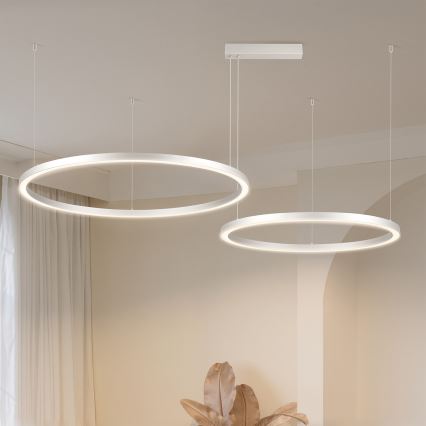 Brilagi - LED-люстра з регулюванням яскравості на тросі PORTOFINO LED/98W/230V 3000-6000K срібляста + пульт дистанційного керування