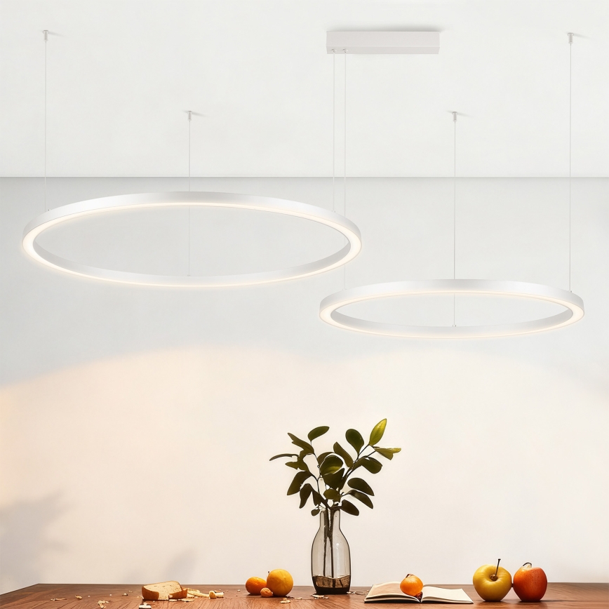 Brilagi - LED-люстра з регулюванням яскравості на тросі PORTOFINO LED/98W/230V 3000-6000K срібляста + пульт дистанційного керування