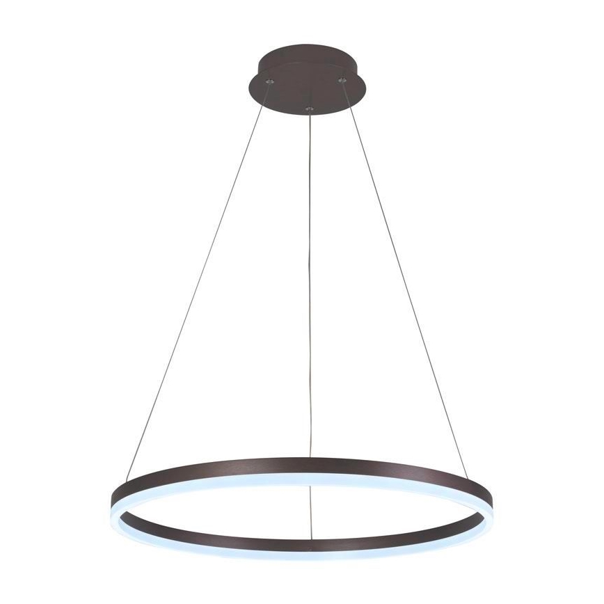 Brilagi - LED підвісна люстра з регулюванням яскравості на тросі CIRCLE LED/42W/230V 3000-6500K діаметр 60 см коричнева + пульт дистанційного керування