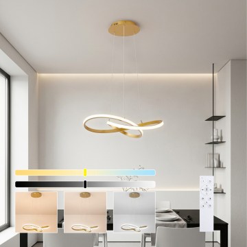 Brilagi - LED люстра з регульованою яскравістю на тросі INFINITY LED/55W/230V 3000-6000K 50x50 см золота + пульт дистанційного керування