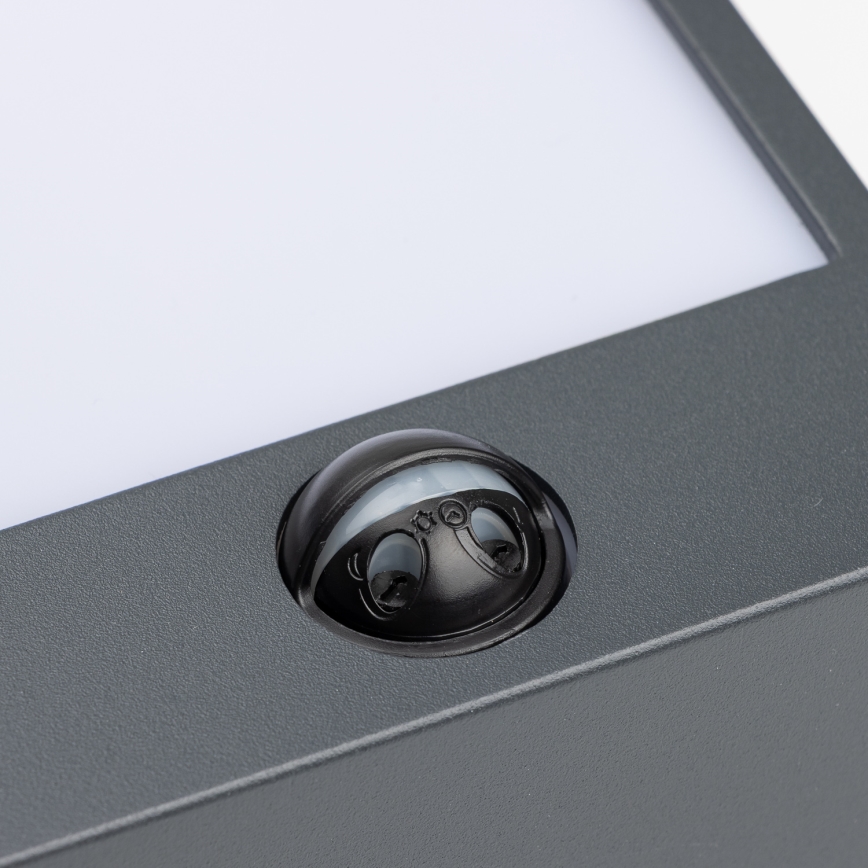 Brilagi - Светильник уличный настенный с датчиком TERNI LED/12W/230V антрацит IP44